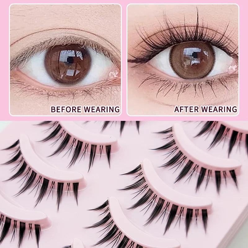 5 Pairs Anime Lashes | fake eyelashes | Lushy Beauty